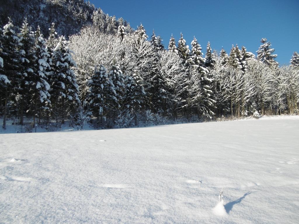 Ferienwohnung Zillertal Bacher Schlitters Exterior photo